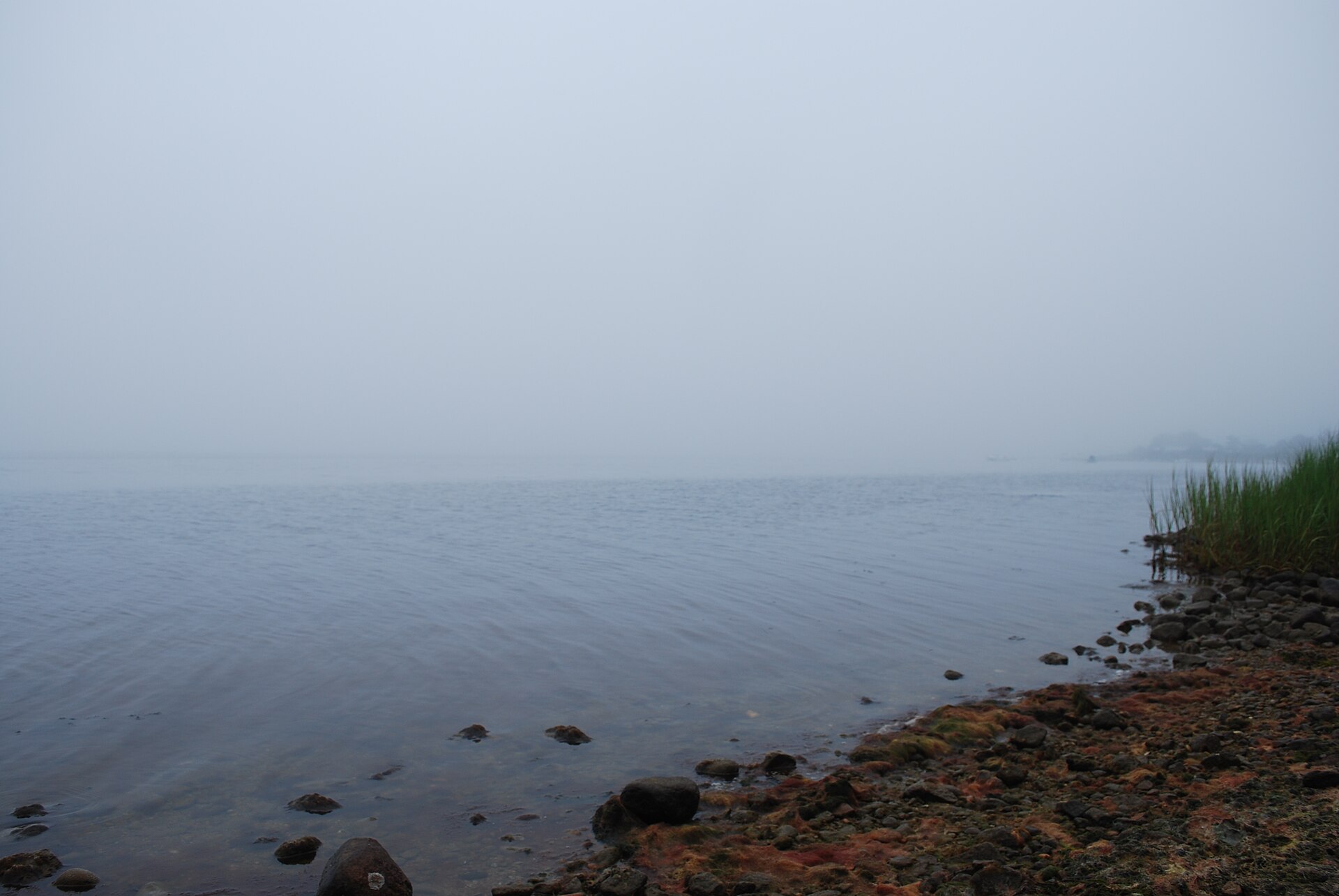 The misty shoreline of Ninigret Pond at the wildlife refuge in Charlestown