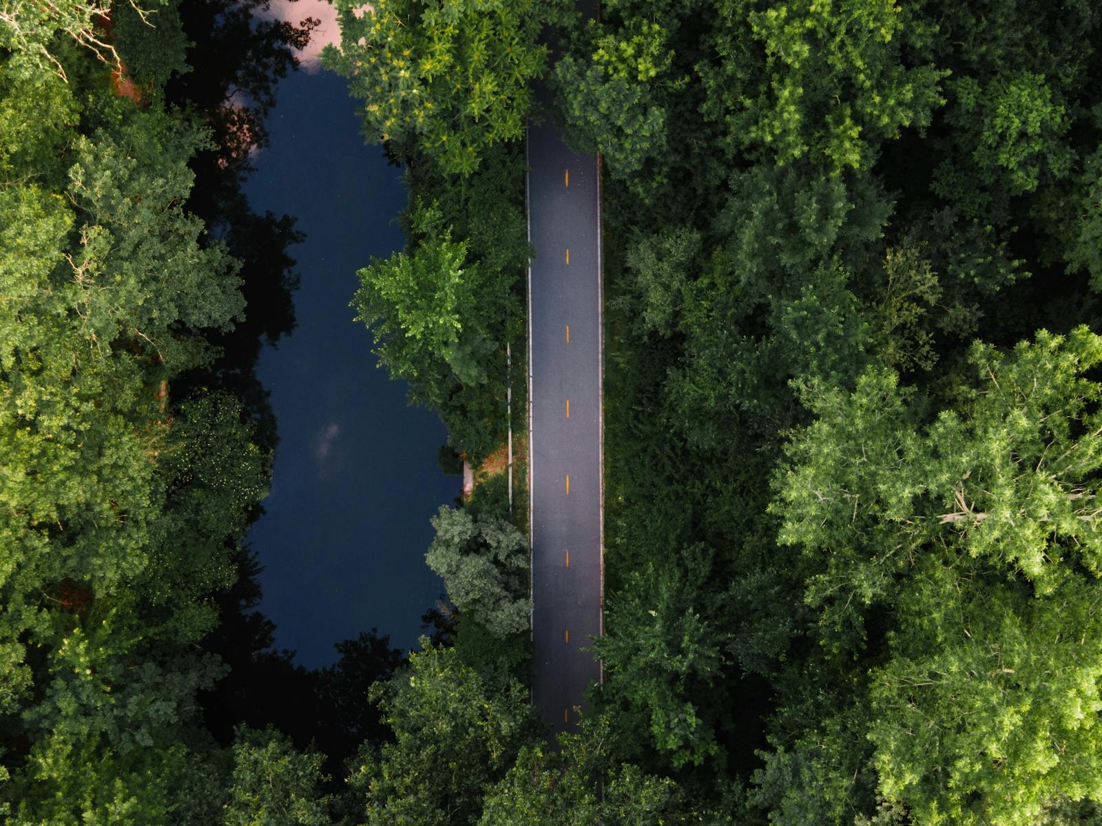 Aerial view of a green Pawtucket road and river corridor
